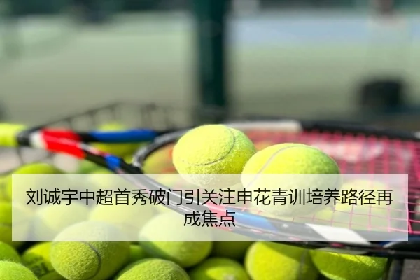 刘诚宇中超首秀破门引关注申花青训培养路径再成焦点